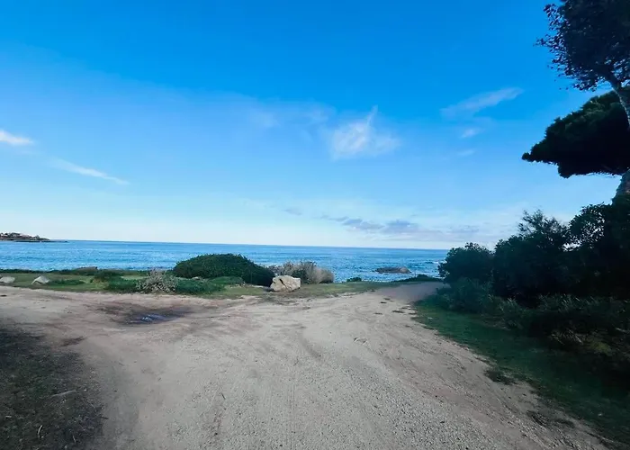 דירה T3 Solane 23